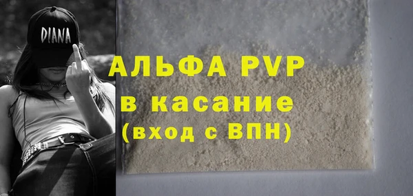 ешки Вязьма