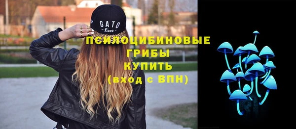 ешки Вязьма