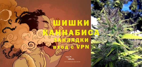 ешки Вязьма