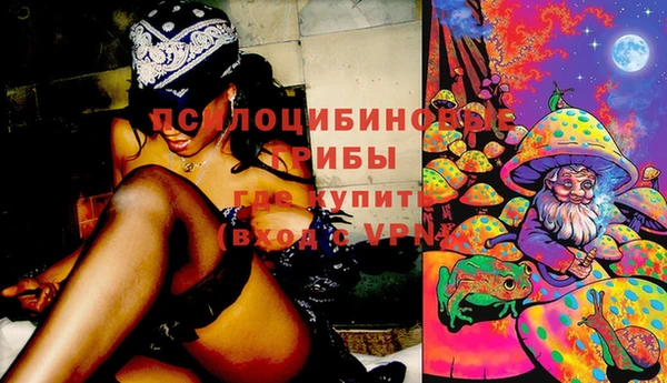 бутират Горно-Алтайск
