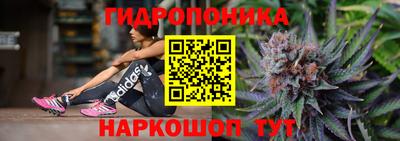 шишки Конаково