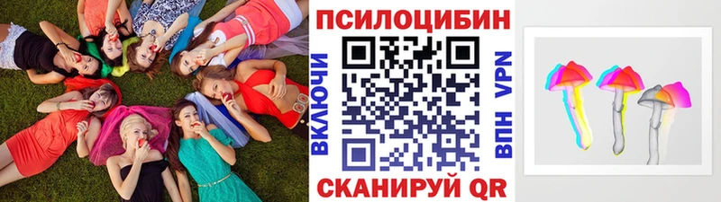 магазин  наркотиков  Медногорск  Галлюциногенные грибы Cubensis 