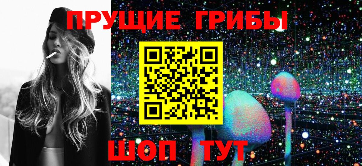 Псилоцибиновые грибы Psilocybe Медногорск