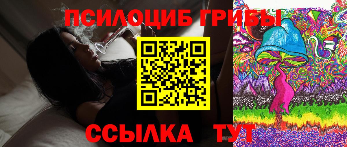 как найти закладки  Псилоцибиновые грибы MAGIC MUSHROOMS  Вход с VPN  Псилоцибиновые грибы Cubensis  Медногорск 