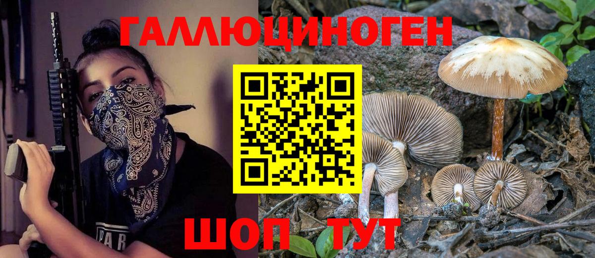 Псилоцибиновые грибы MAGIC MUSHROOMS Медногорск