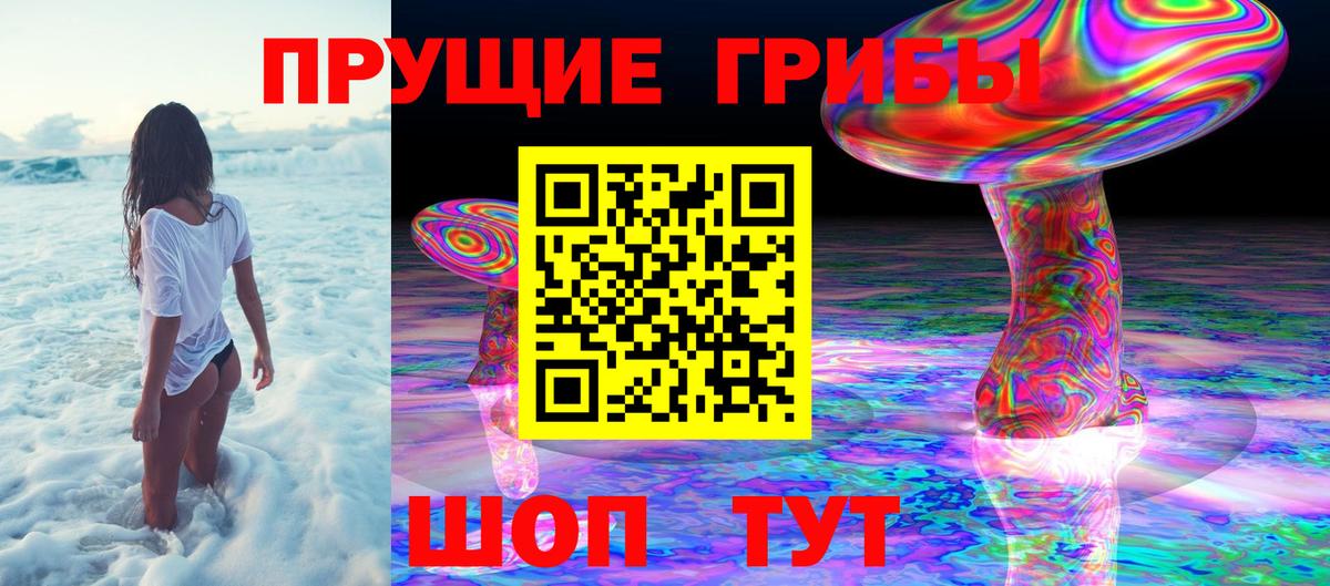 Псилоцибиновые грибы прущие грибы  Медногорск 